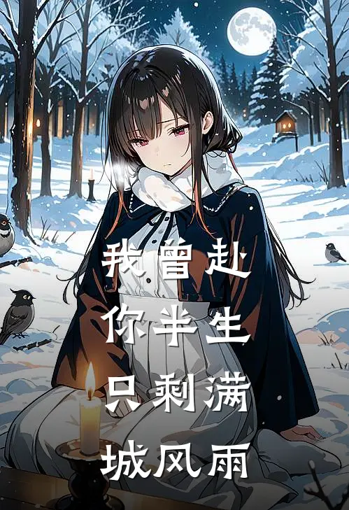 我曾赴你半生，只剩满城风雨