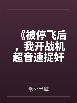 《被停飞后，我开战机超音速捉奸》