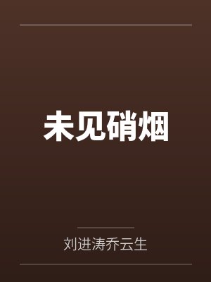 硝烟从未散场是什么歌