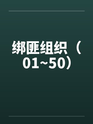 绑匪组织(01~50) 绑匪组织(01~50)