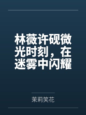 林薇许砚微光时刻，在迷雾中闪耀