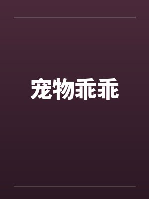 宠物乖乖 宠物乖乖