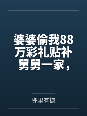 婆婆偷钱后续