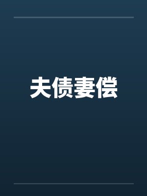 夫债妻偿 夫债妻偿