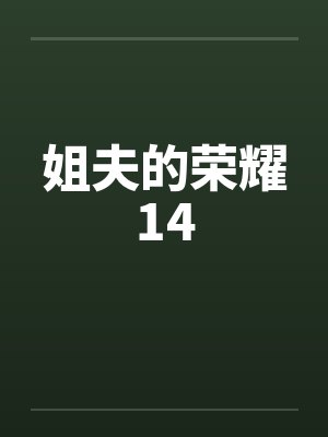 姐夫的荣耀14 姐夫的荣耀14
