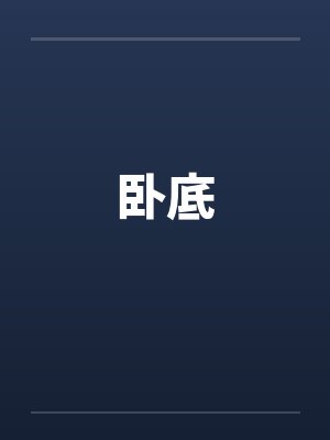卧底 卧底